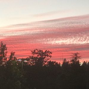 Meet your Posher, Harmony